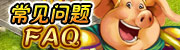 常见问题